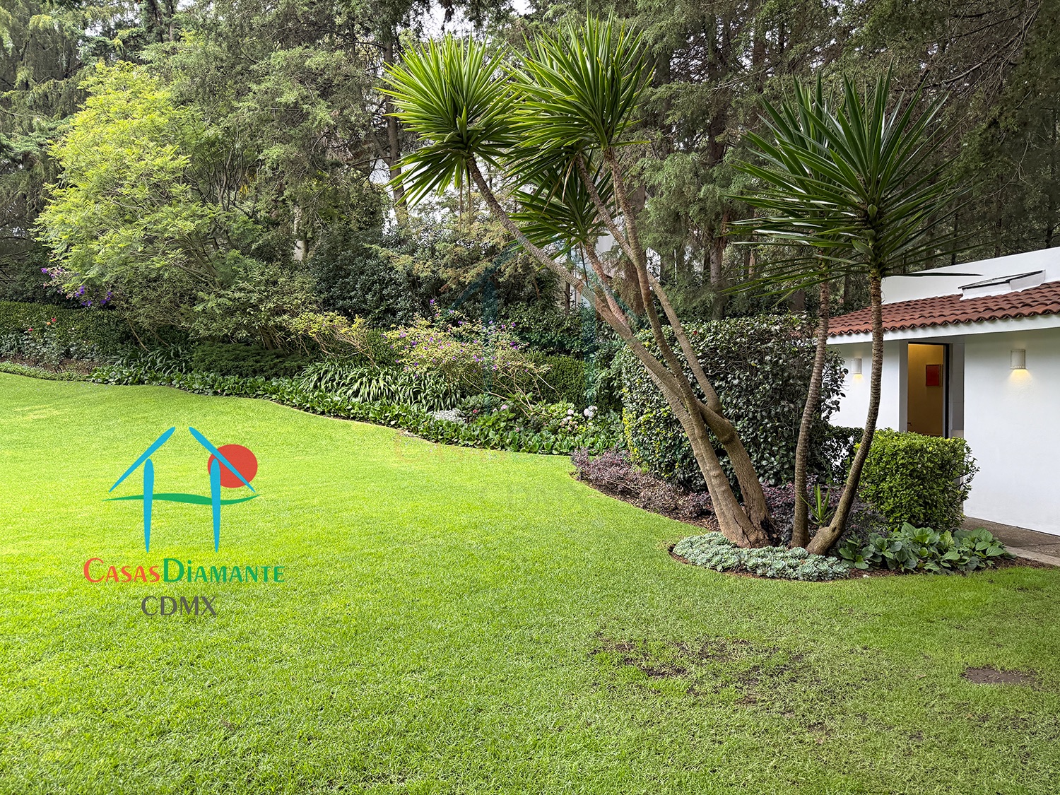 Rancho San Francisco Casa Encino - Jardín 2